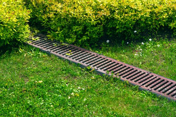 Cost of Lawn Drainage in Terre Haute