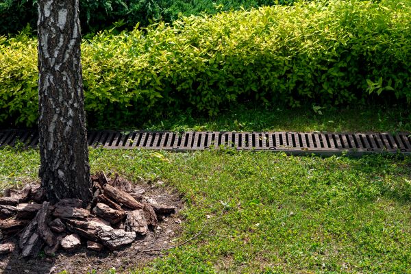 Cost of Wet Yard Drainage in Terre Haute
