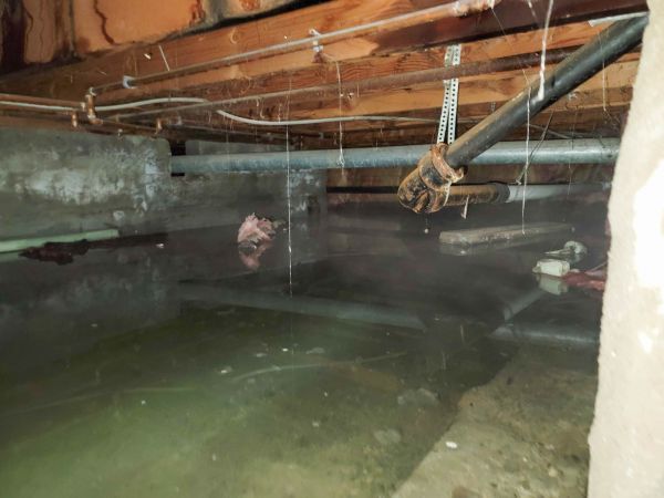 Cost of Crawlspace Drainage in Terre Haute