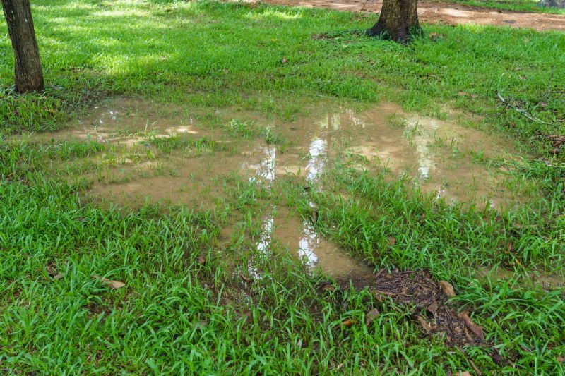 Managing Stormwater Runoff
